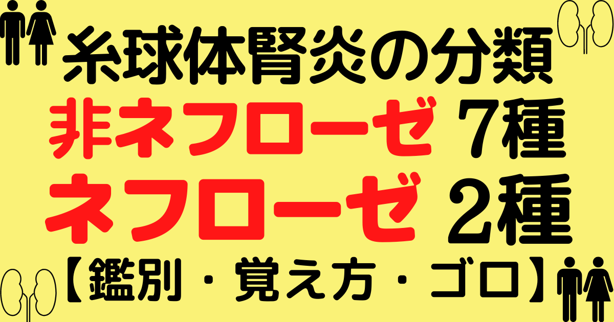 どのように似ていますか?