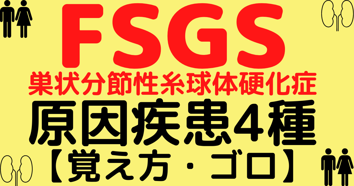 続発性巣状分節性糸球体硬化症FSGSの原因4種の覚え方・ゴロ