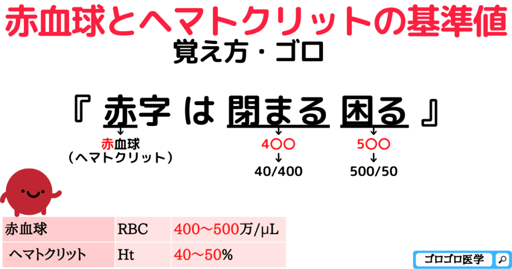 赤血球の基準値の覚え方・ゴロ【CBT国試対策】