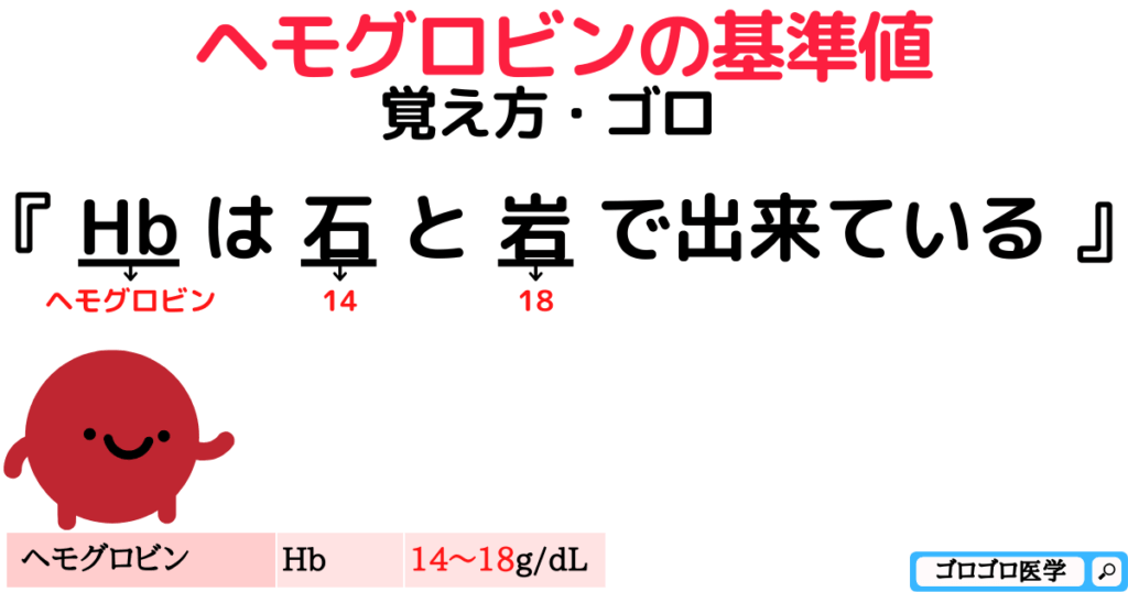 ヘモグロビンHbの基準値の覚え方・ゴロ【CBT国試対策】