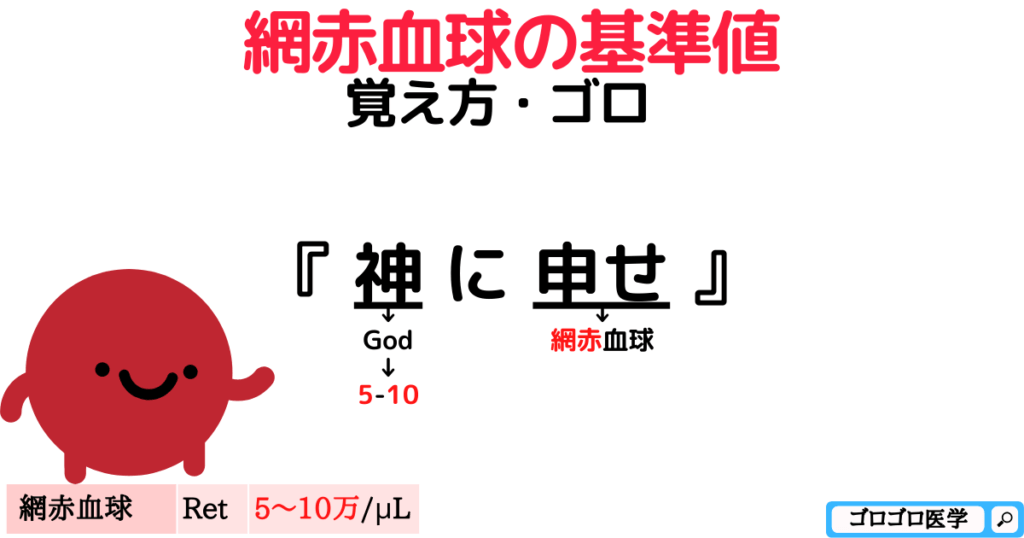 網赤血球の覚え方・ゴロ【CBT国試対策】