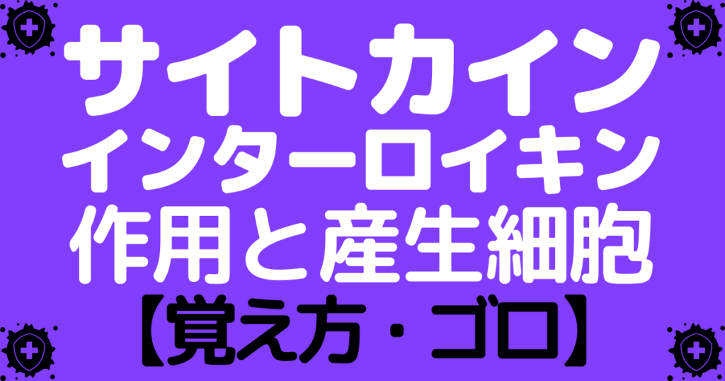 サイトカインやインターロイキンの作用と産生細胞の覚え方・ゴロ【CBT国試対策】