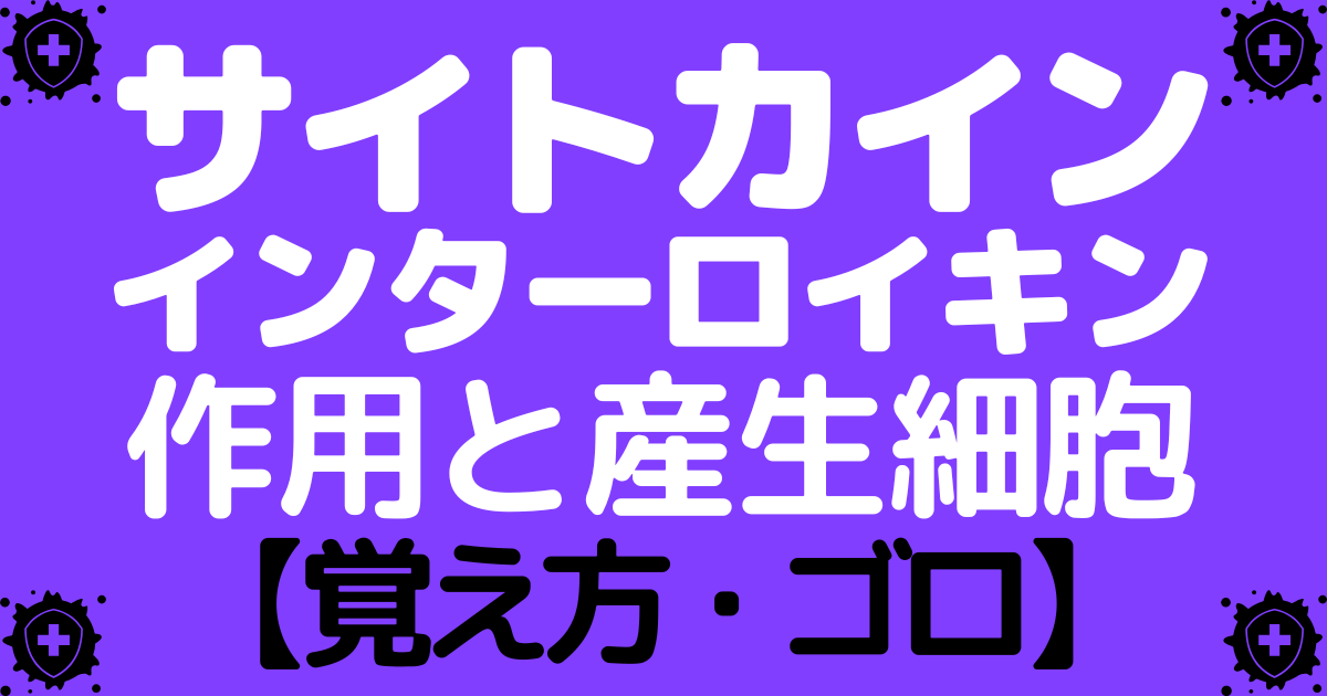 サイトカインやインターロイキンの作用と産生細胞の覚え方・ゴロ【CBT国試対策】