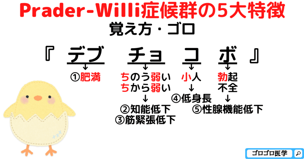 Prader-Willi症候群の原因と症状、特徴の覚え方・ゴロ【CBT国試対策】