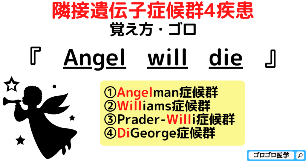 【109回医師国家試験】隣接遺伝子症候群とは?覚え方・ゴロ【CBT国試対策】