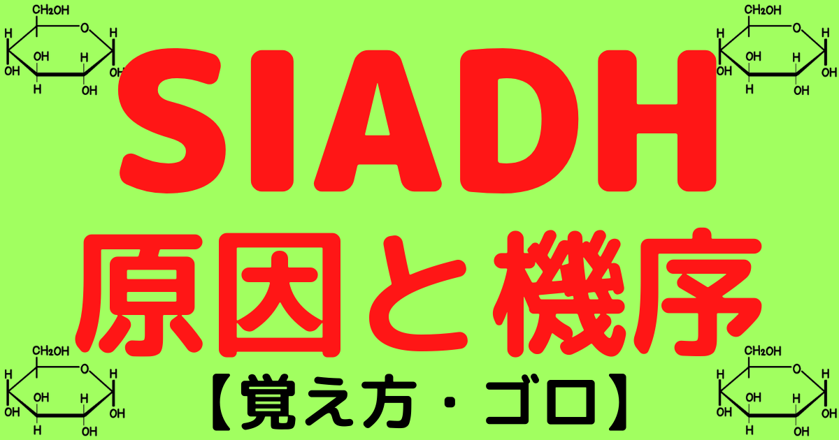 SIADHの原因と機序の覚え方・ゴロ【CBT・医師国家試験対策】