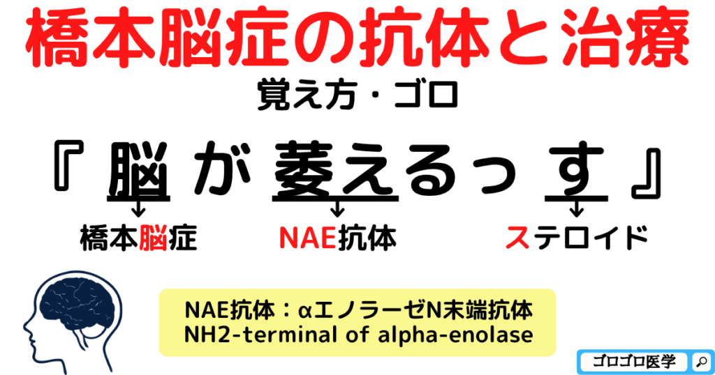 粘液水腫性昏睡と橋本脳症の鑑別・抗体・治療の覚え方・ゴロ【CBT国試対策】