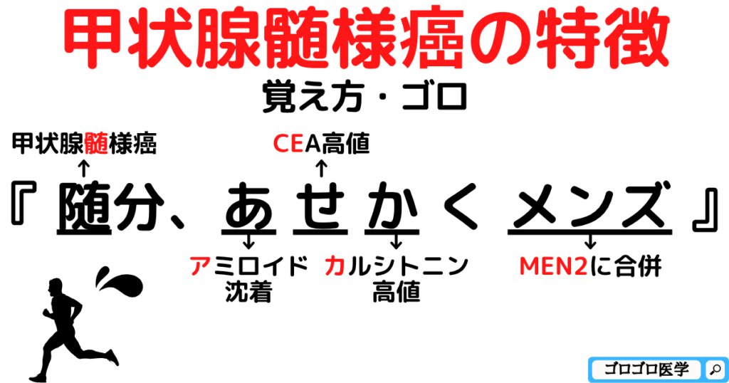 【甲状腺悪性腫瘍】髄様癌の特徴の覚え方・ゴロ【CBT国家試験対策】