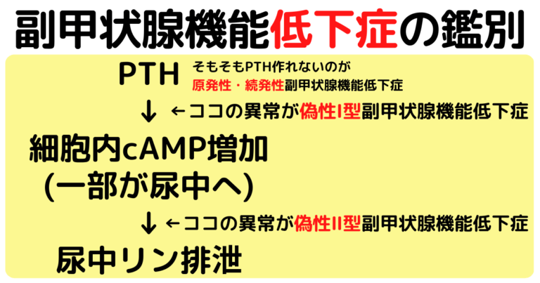 原発性甲状腺機能亢進症の原因は何ですか?