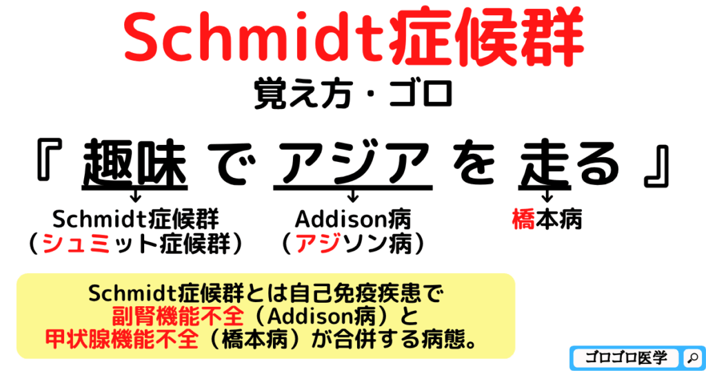 シュミット症候群の覚え方・ゴロ【アジソン病の合併症は慢性甲状腺炎】