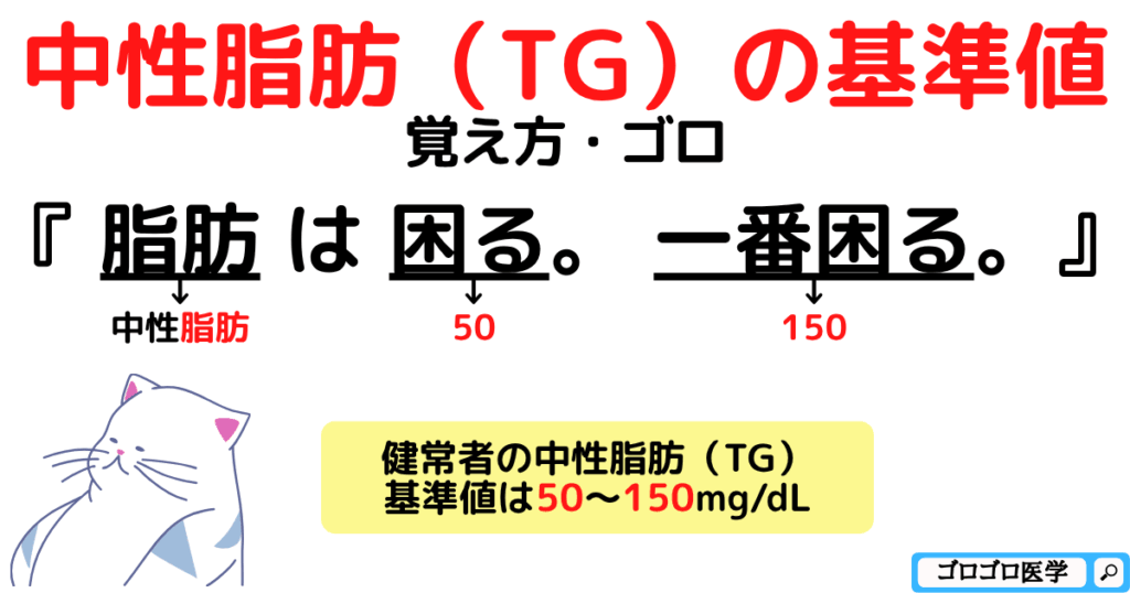【血液検査の基準値】TGトリグリセリド(中性脂肪)の覚え方・ゴロ