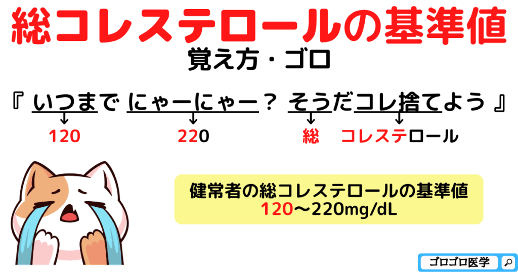 【血液検査の基準値】総コレステロールの覚え方・ゴロ