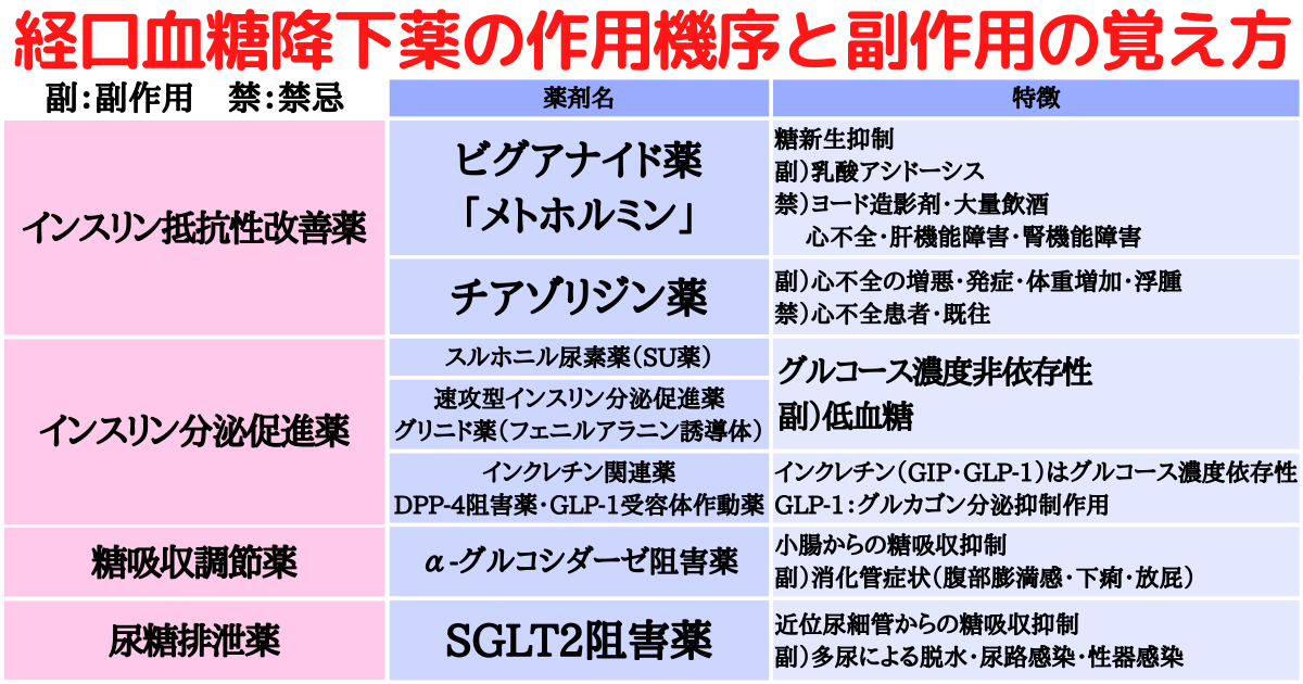 マスフェロール経口液リーフレット