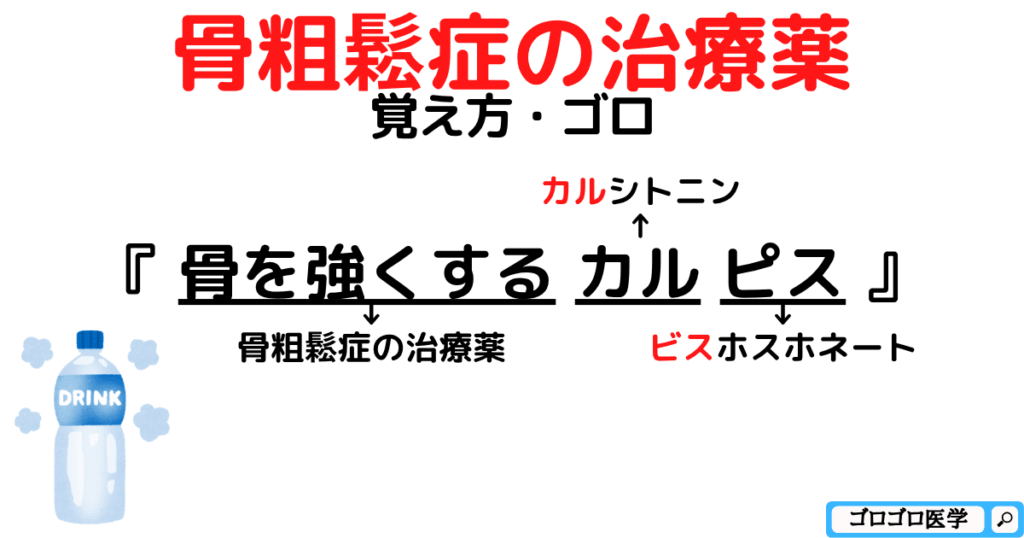 【なぜPTH製剤？】骨粗鬆症の治療薬と副作用の覚え方・ゴロ【CBT国試対策】カルシトニンとビスホスホネートの覚え方・ゴロ