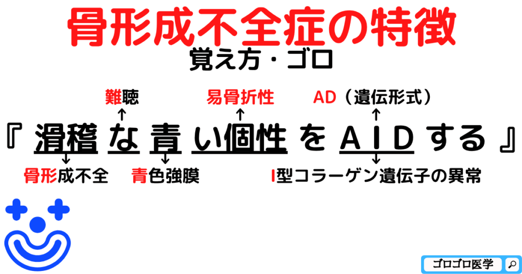 骨形成不全症の3徴と原因遺伝子と遺伝形式の覚え方・ゴロ【CBT国試対策】