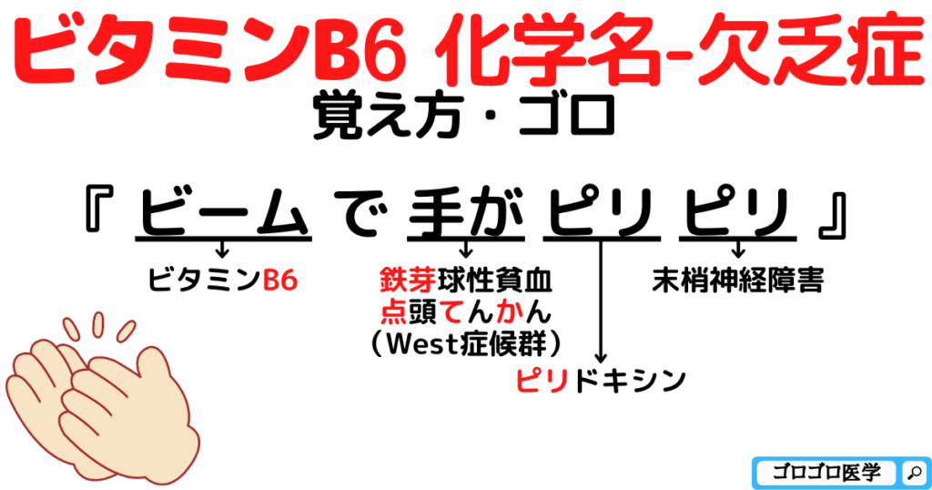 ビタミンB6欠乏症・ピリドキシンの覚え方・ゴロ【CBT国試対策】