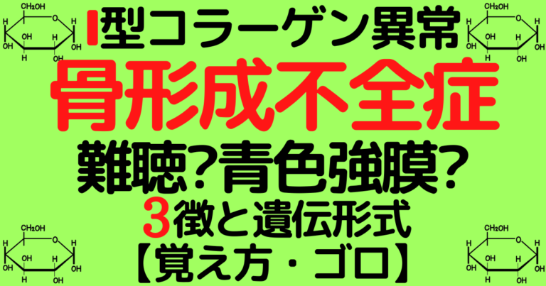 骨形成リーフレット