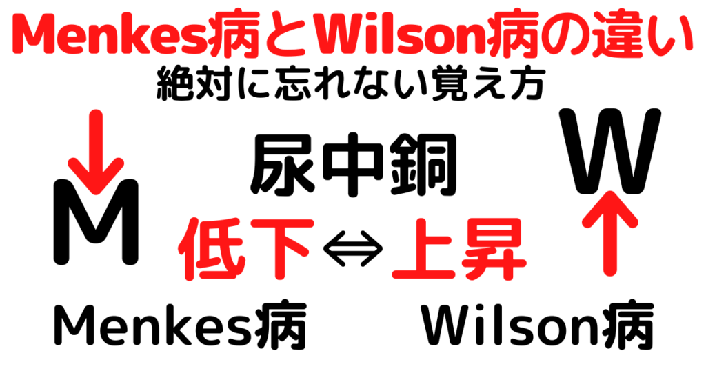 ウィルソン病の見通しはどうなりますか?