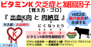 第 II 因子欠乏症はどのように診断されますか?