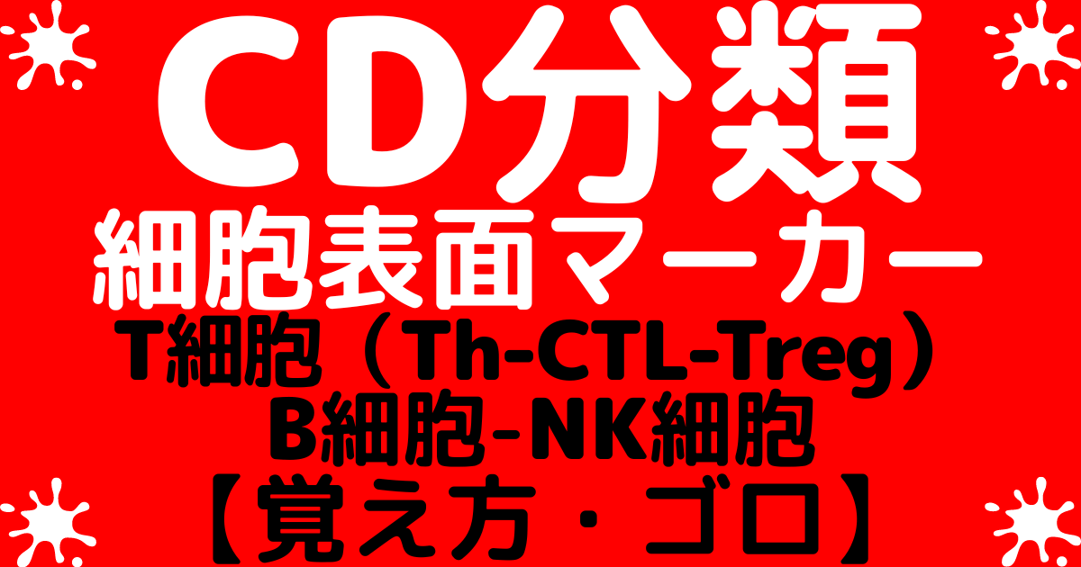 【CD分類】T細胞CD2CD3CD5CD7-ヘルパーT細胞CD4-キラーT細胞（細胞障害性T細胞）CD8-制御性T細胞tregCD4CD25-NK細胞CD16CD56-B細胞CD10CD19CD20の表面マーカーの覚え方・ゴロ【CBT国家試験対策】
