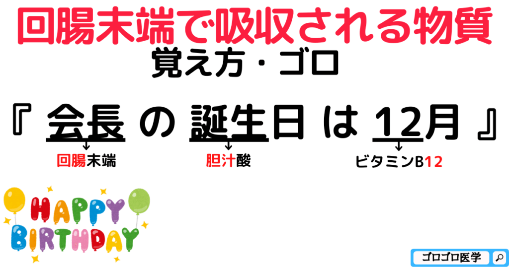 回腸末端で吸収される物質は「胆汁酸」と「ビタミンB12」【覚え方・ゴロ】