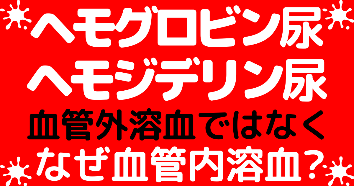 【機序】なぜヘモグロビン尿とヘモジデリン尿は血管外溶血ではなく血管内溶血？