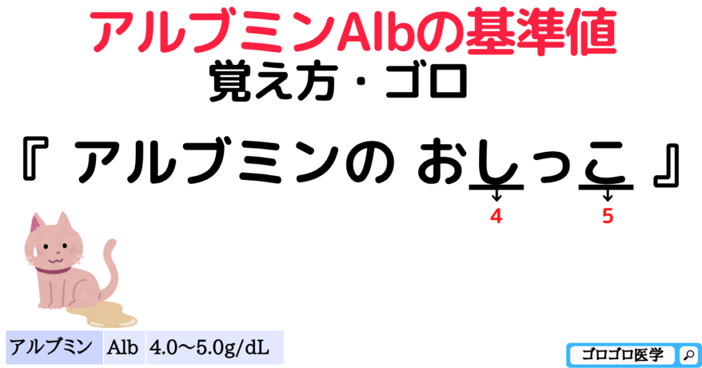 【生化学-肝機能】
アルブミンAlbの基準値の覚え方・ゴロ【CBT国試対策】