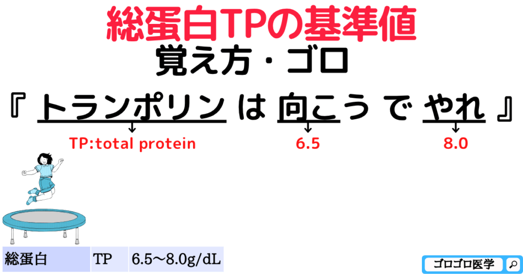 【生化学-肝機能】
総蛋白TPの基準値の覚え方・ゴロ【CBT国試対策】
