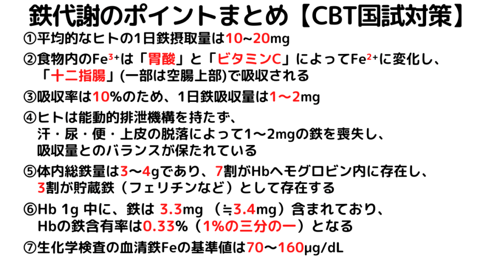 【鉄代謝】1日摂取量-吸収部位-体内総量-分布割合-血清鉄の基準値の覚え方・ゴロ【CBT国試対策】