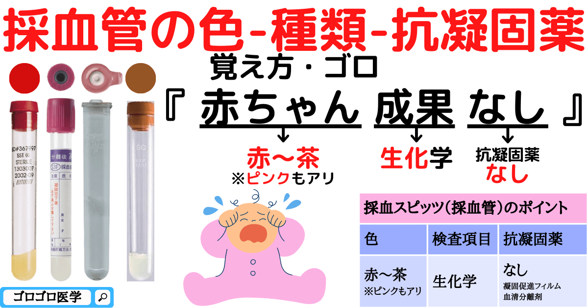 採血基本 – 採血の手順マニュアル | 血液検査結果の見方 – LKFVNM