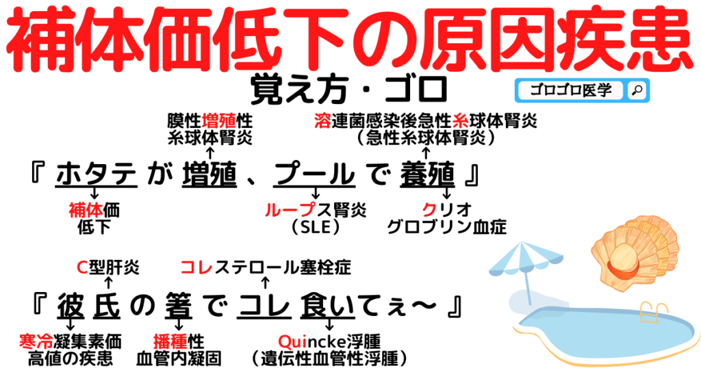 補体検査はどのように行われるのですか?