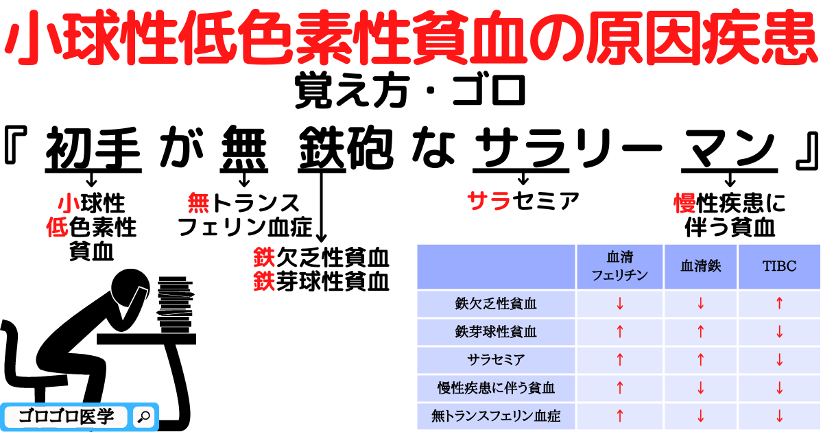 小球性低色素性貧血の原因疾患と鑑別方法の覚え方・ゴロ【CBT国試対策】 - ゴロゴロ医学