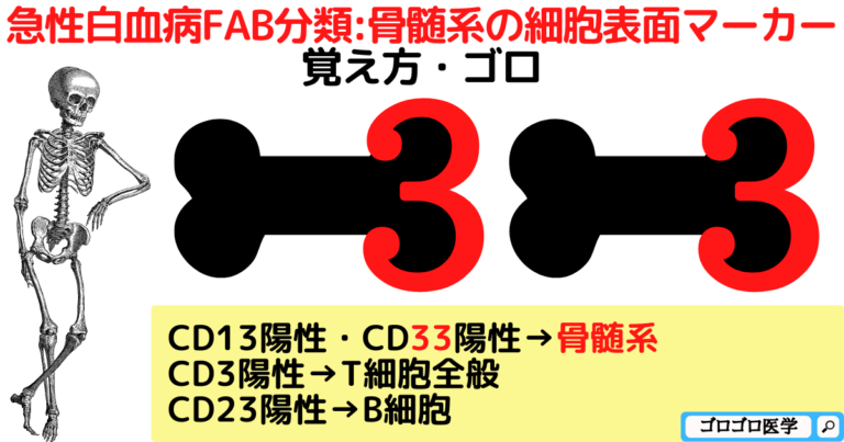  AMLの展望