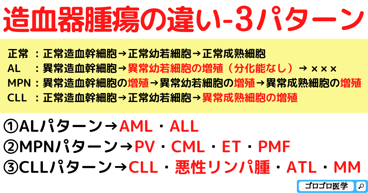 【造血器腫瘍とは】白血病骨髄増殖性腫瘍の違いと分類まとめ【国試対策】 ゴロゴロ医学