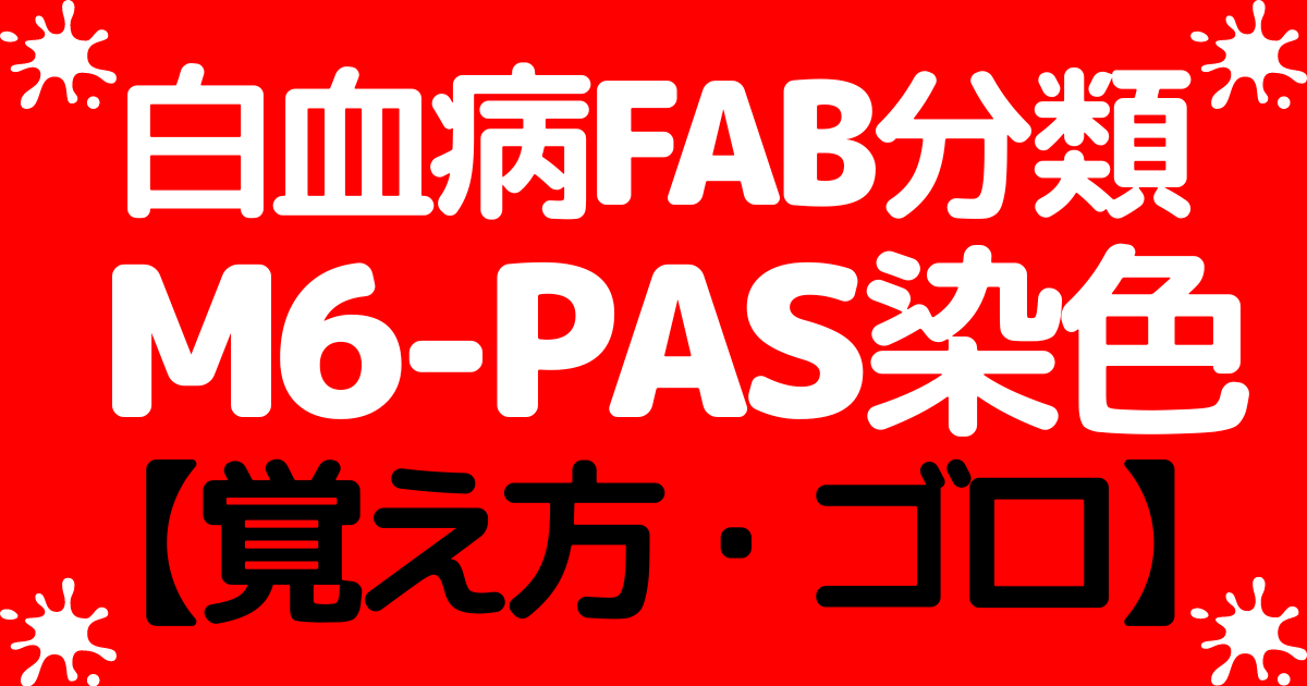 【急性白血病FAB分類】M6の特徴-PAS染色陽性赤芽球の覚え方・ゴロ