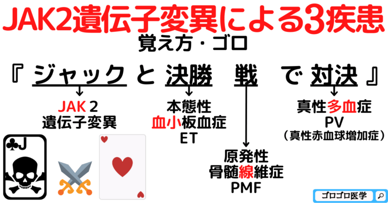  JAK2と血液の状態