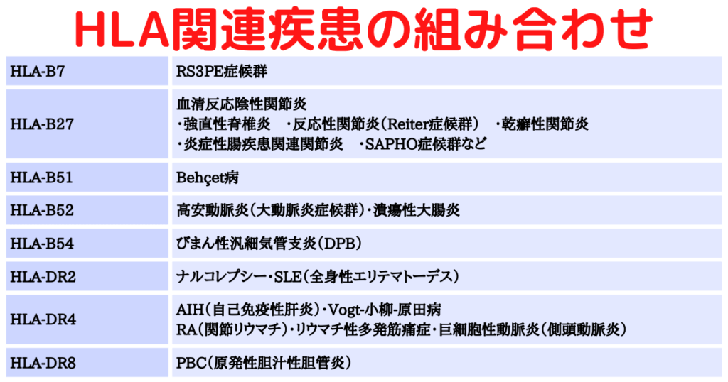 HLAと関連疾患の組み合わせの覚え方・ゴロ【CBT国試対策】