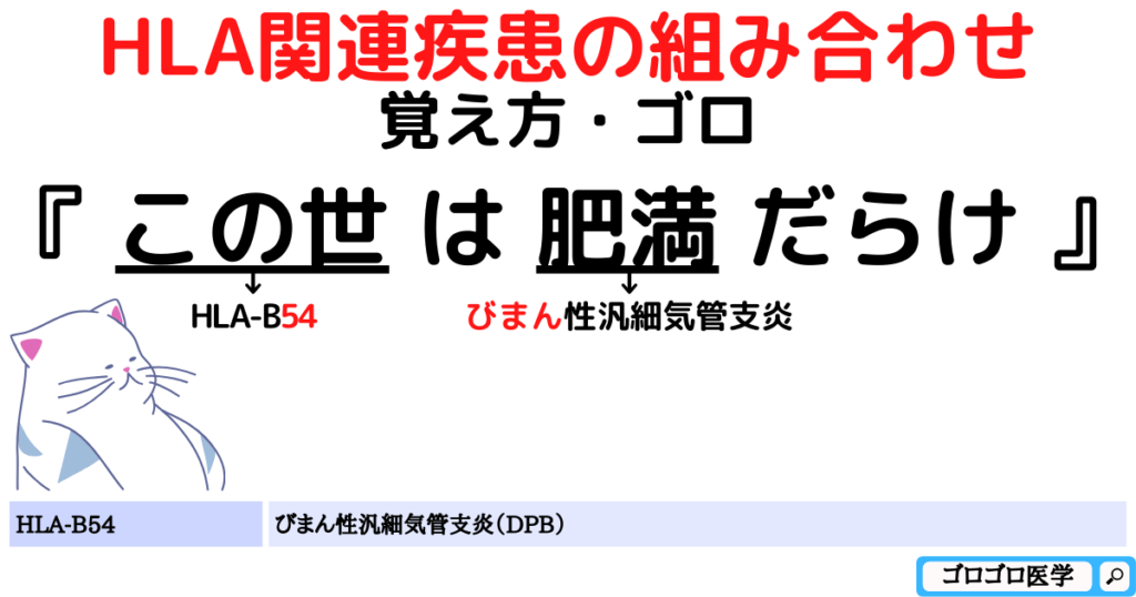 HLA-B54：びまん性汎細気管支炎（DPB）の覚え方・ゴロ