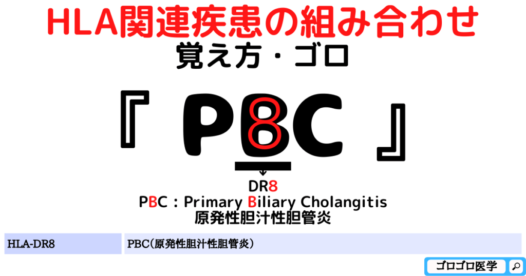 HLA-DR8：原発性胆汁性胆管炎（原発性胆汁性肝硬変）（PBC）の覚え方・ゴロ