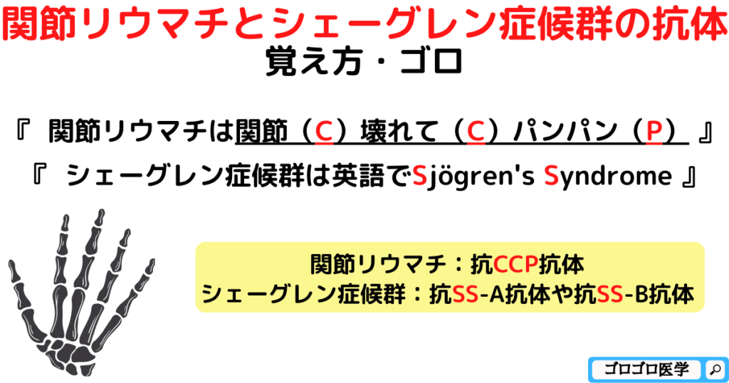 関節リウマチとシェーグレン症候群の抗体の覚え方・ゴロ【CBT国試対策】