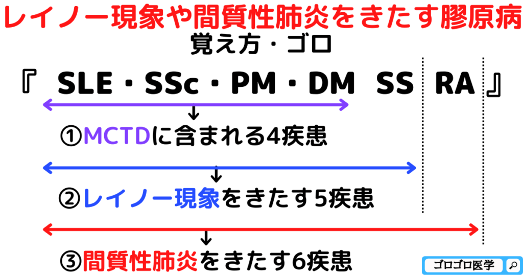レイノー現象や間質性肺炎をきたす膠原病の鑑別疾患の覚え方・ゴロ【CBT国試対策】