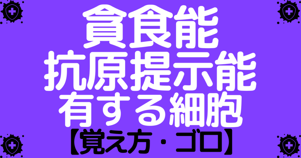 貪食能や抗原提示能を有する細胞の区別と覚え方・ゴロ【CBT国試対策】