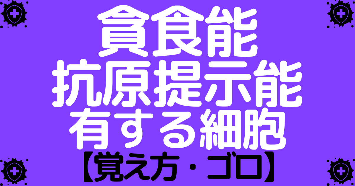 貪食能や抗原提示能を有する細胞の区別と覚え方・ゴロ【CBT国試対策】