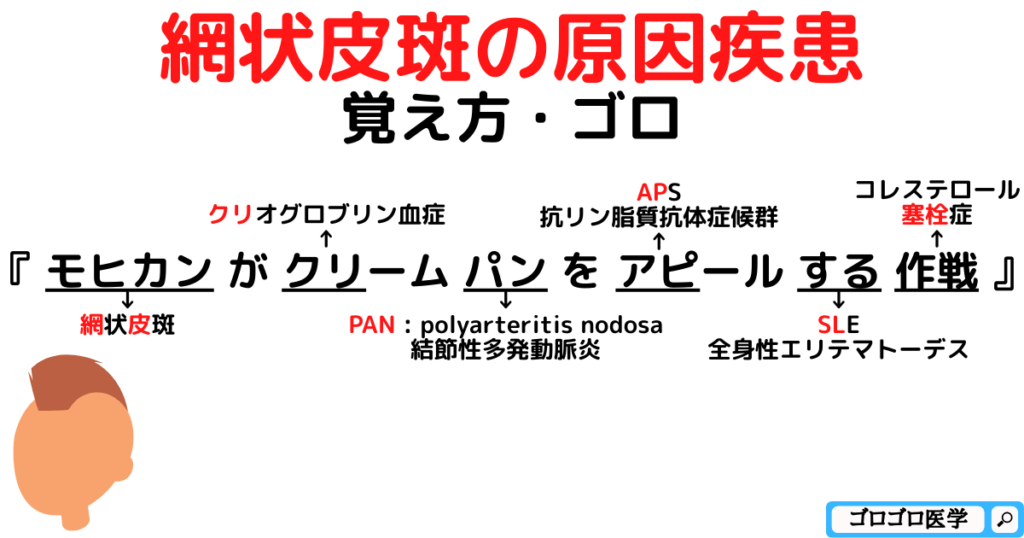 【リべド】網状皮斑の原因疾患の覚え方・ゴロ【CBT国試対策】