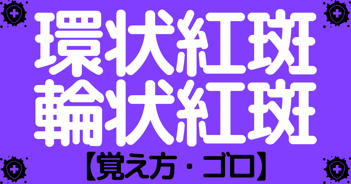 環状紅斑と輪状紅斑の違いと原因疾患の覚え方・ゴロ【CBT国試対策】