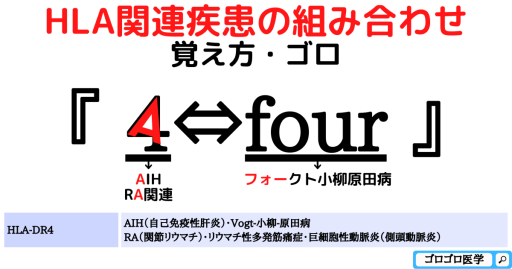 HLA-DR4：自己免疫性肝炎（AIH）・Vogt-小柳-原田病・関節リウマチの覚え方・ゴロ