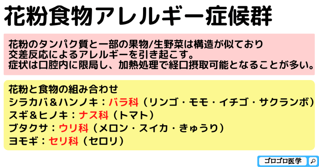花粉食物アレルギー症候群の花粉と食物の組み合わせの覚え方・ゴロ【CBT国試対策】