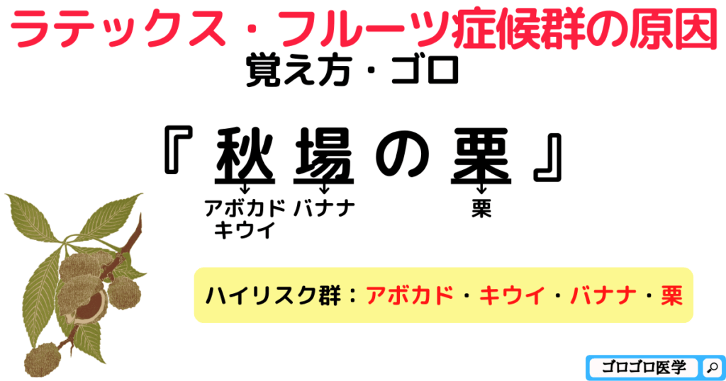 ラテックス・フルーツ症候群の原因ハイリスク群の覚え方・ゴロ【CBT国試対策】