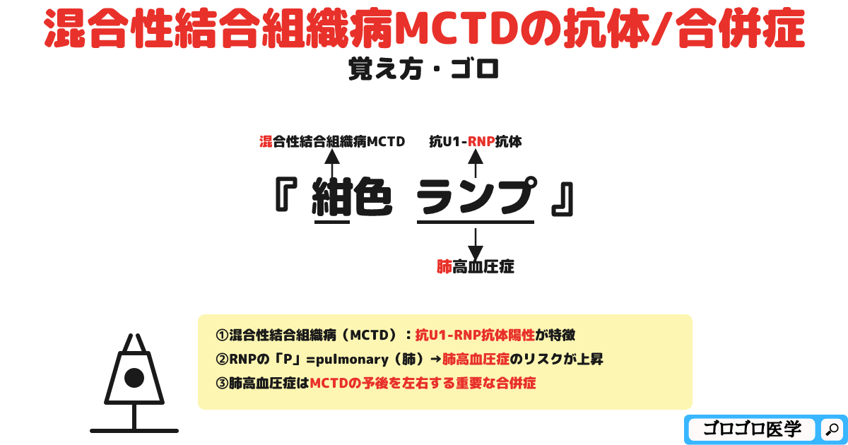 混合性結合組織病MCTDの抗体/合併症の覚え方・ゴロ【CBT国試対策】